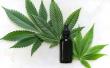 Cannabis Market Projected To Witness Substantial Growth, 2025-2032: VIVO Cannabis Inc., GW Pharmaceuticals plc.