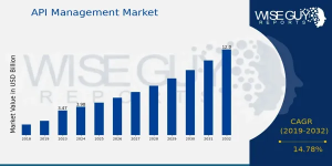 API Management Market