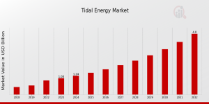 Tidal Energy Market