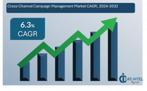 Category Intelligence Cross-Channel Campaign Management Market