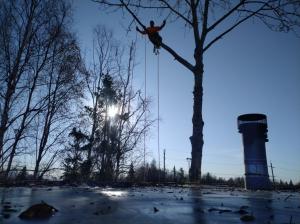 Tree Trimming Cottonwood