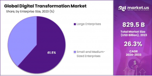 Digital Transformation Market Segment