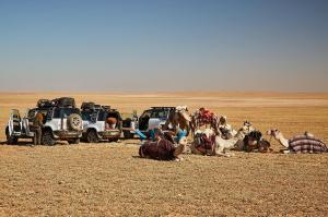 Setting Up Camp