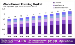 Insect-Farming-Market