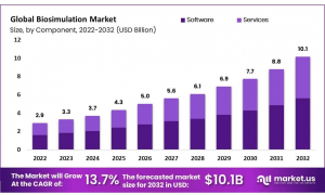 Biosimulation Market Size