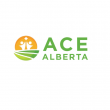 Half of Alberta Preschools May Close Without Funding Changes, ACE Survey Finds