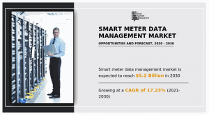 Smart Meter Data Management 