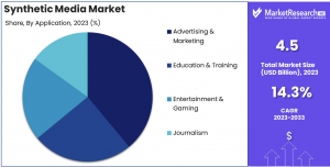 Synthetic Media Market Share