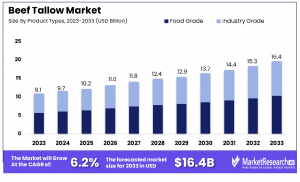 Beef-Tallow-Market-By-Product-Types