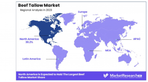 Beef-Tallow-Market-By-Region