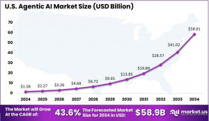 US Agentic AI Market Size