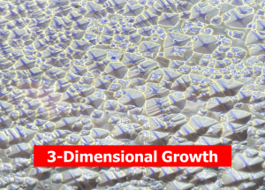 3D NIRIM Growth BWS