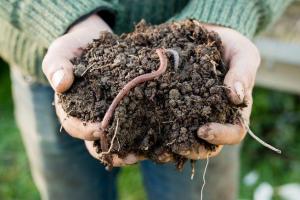 Organic Fertilizers Market Overview