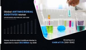 Antimicrobial Additives Markets Analysis