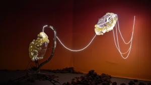 Biosphere 3, Installation Exhibition View, Image provided by Black Void