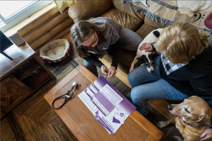 An In-Home Hospice Assessment with a Beloved Dog