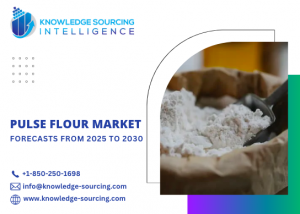 Pulse Flour Market