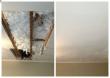 Handyman Can Help, LLC Addresses Growing Demand for Sheetrock and Drywall Repairs in Tampa Bay