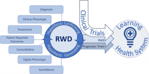 Real World Data (RWD) Market Share 2025