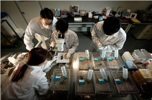 ILIAS Biologics  Inc. Laboratory (Image: ILIAS Biologics Inc. )