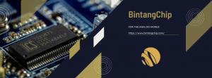 BintangChip
