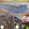 Vego Garden Unveils New Irrigation System Kit for Easier Watering