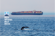 60 Global Shipping Lines on Track for Record Year as Voluntary Vessel Speed Reduction Program Expands Coastwide July 1 