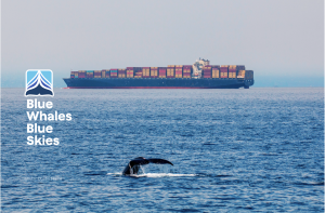 Container ship and whale fluke