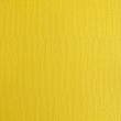 12 x 12 Cardstock Shop Celebrates 8 Years of Eco-Friendly Initiatives