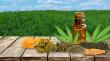 Cannabis Extract Market Projected To Witness Substantial Growth 2025-2032 | Tilray Inc., VIVO Cannabis, Cannabis Science
