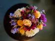 Fancy Pansy to Provide Flowers for 2025 American Airlines Celebrity Ski Classic