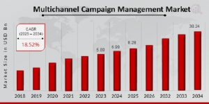 Multichannel_Campaign_Management_Market_Size