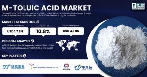 m- Toulic Acid Market