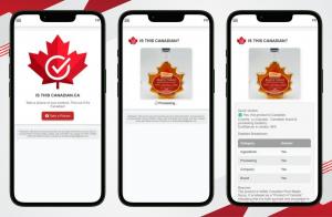 The app in action