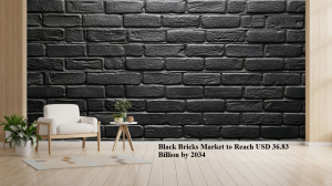 Black Bricks Market MRFR