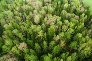 Craters and Freighters / Forest Garden Program