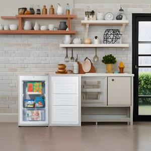 Equator Unveils the Conserv FR 300 SG: A Compact Freezer Designed for Modern Living