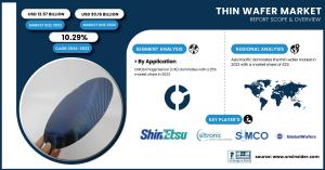 Thin Wafer Market Size & Growth Analysis