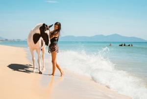 Beach Horseback Riding