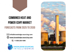 Combined Heat and Power (CHP) Market