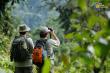 Ecotourism Market Growth Accelerates $829.8 Billion Projected by 2035, Expansion CAGR of 11.7%