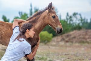 Kseniia Horse