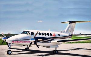 Air Ambulance Services Market Size and Share