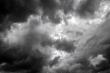 Examining Why Coastal Property Insurance Requires a Different Approach