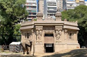 Pupy in her enclosure at Ecoparque Buenos Aires (Photo courtesy of Global Sanctuary for Elephants)