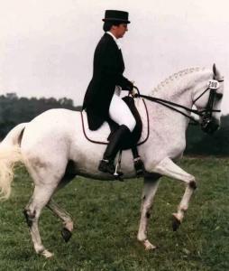 Lendon Gray ’71 competes in dressage.