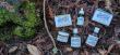 Bearded Coast: Premium Organic Beard Care Products, Elevating Grooming Standards for the Modern Beardsman