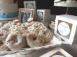 Make Your Event Stand Out with Themed Donuts – Brandon’s Donuts Brings Personalized Catering to Hoboken
