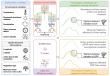Innovative framework for quantifying direct typhoon impacts on vegetation