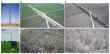 Advancing SIF algorithms: unlocking the dynamics of photosynthesis